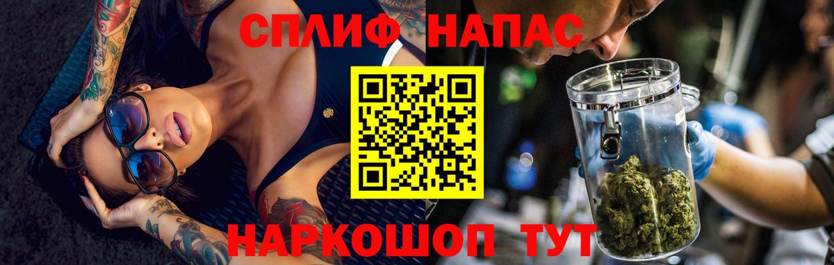 Бошки Шишки Севастополь